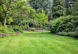 Optimiser l'expérience du jardin à Vaux-sur-Seine
